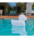 Altavoz Bluetooth Pato Luminoso - BTLSDUCK
